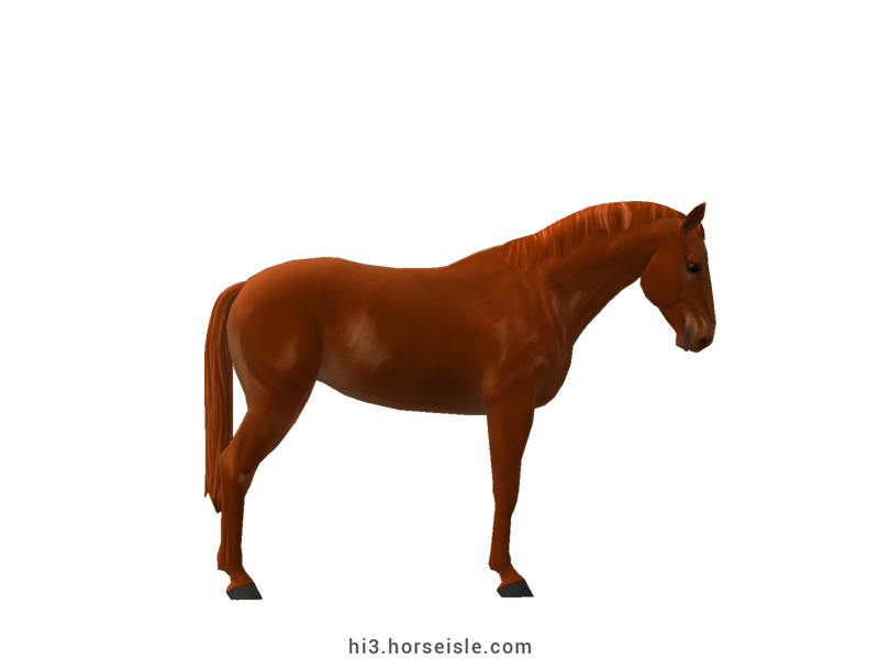 Horse Isle 3: Big Book of Breeds