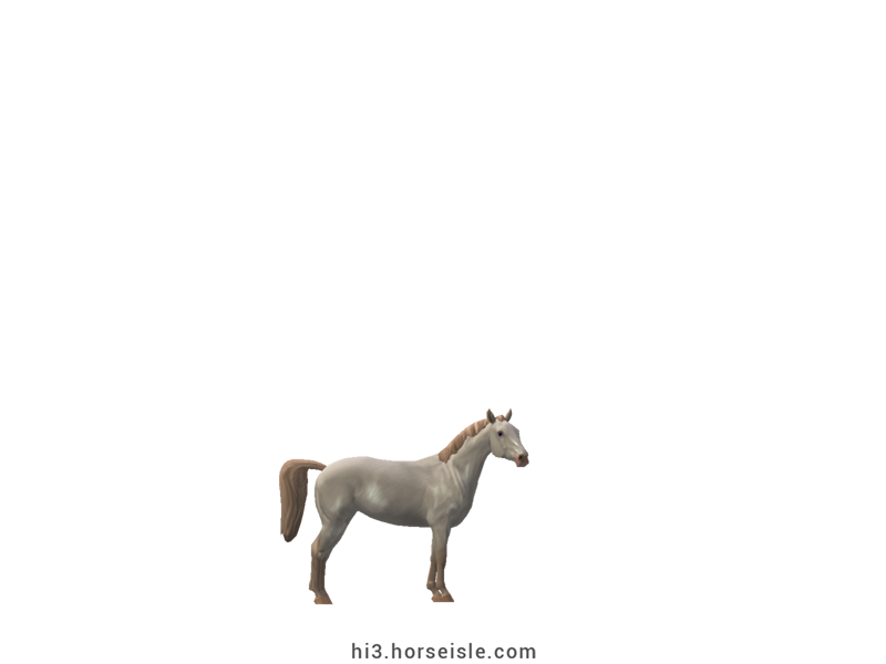American Miniature Horse Perlino Coat