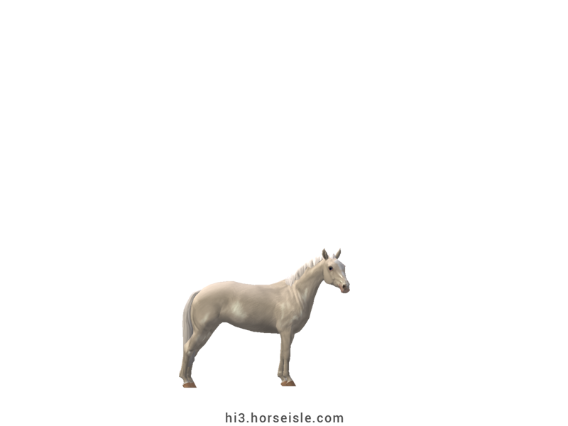 American Miniature Horse Cremello Coat