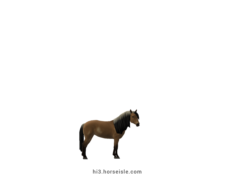 American Miniature Horse Dun Coat