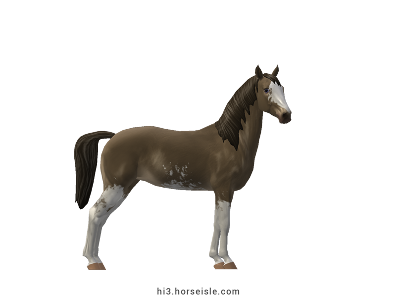 Horse Isle 3: Big Book of Breeds