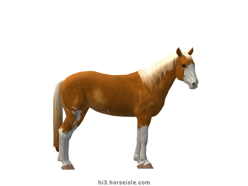 Horse Isle 3: Big Book of Breeds