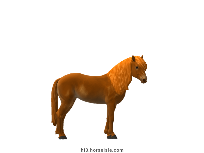 Pony-sized Finnhorse Sorrel Coat (normal view)