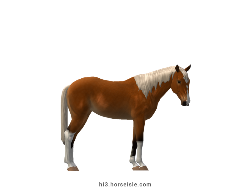 Horse Isle 3: Big Book of Breeds