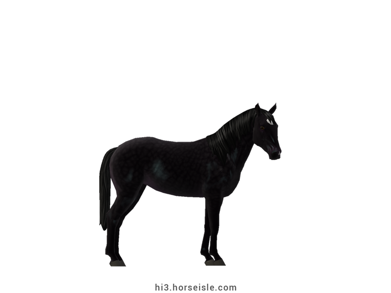 Horse Isle 3: Big Book of Breeds