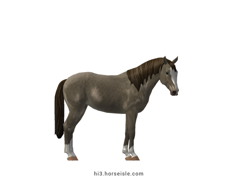 Horse Isle 3: Big Book of Breeds