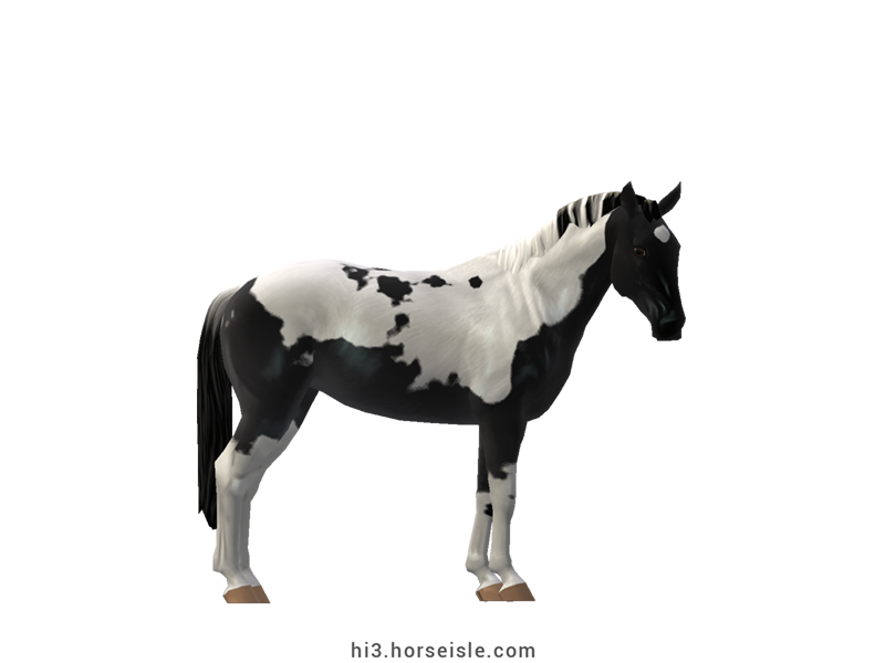 Horse Isle 3: Big Book Of Breeds