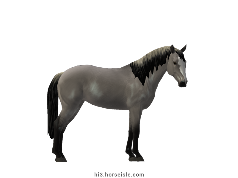 Horse Isle 3: Big Book of Breeds