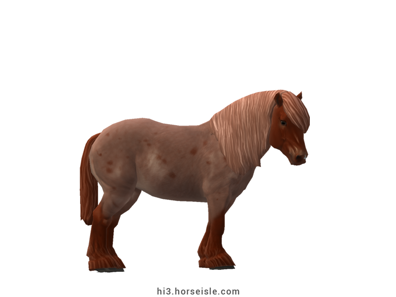 Auxois Horse
