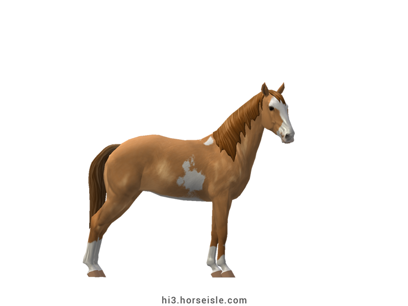 Horse Isle 3: Big Book of Breeds