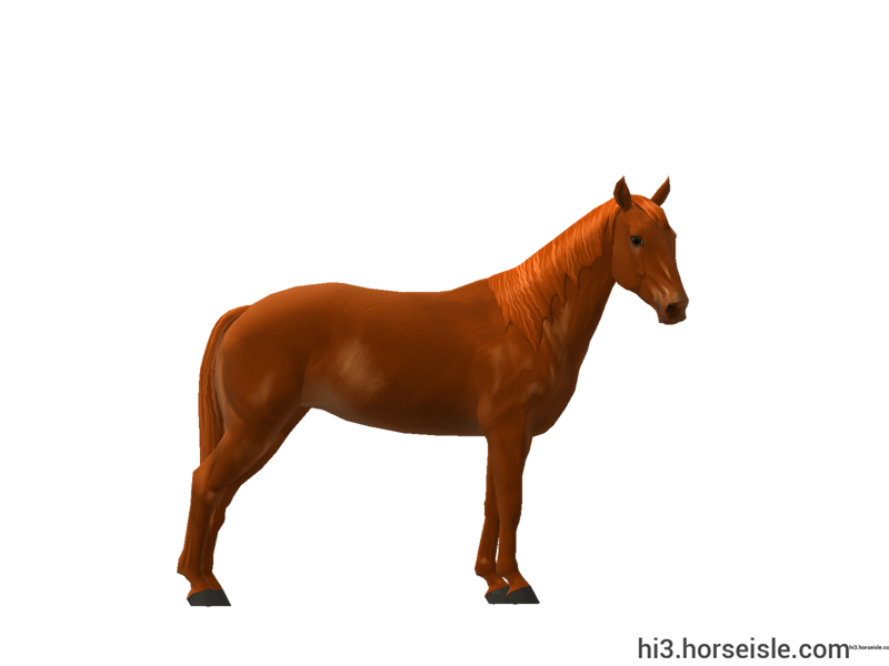 Horse Isle 3: Big Book of Breeds