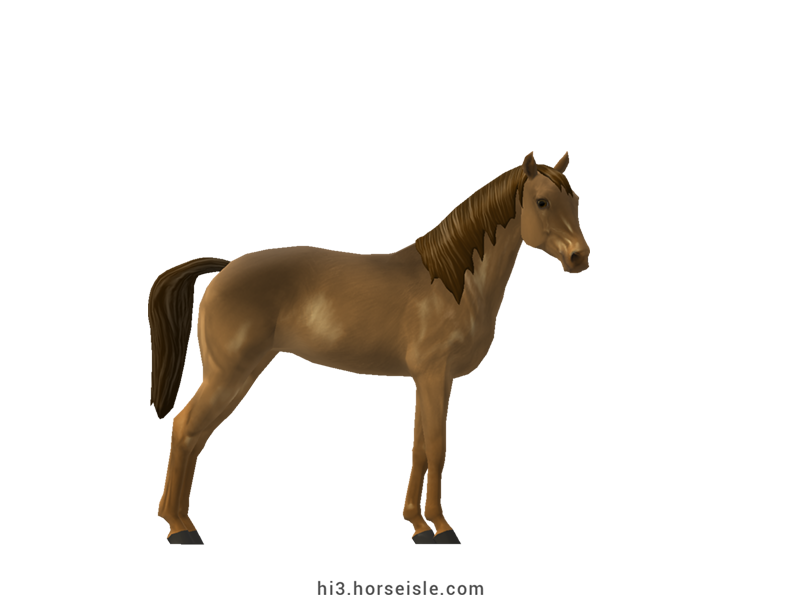 dun arabian horse
