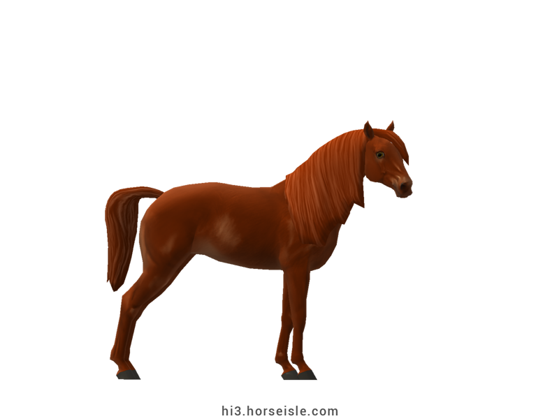 Horse Isle 3: Big Book of Breeds