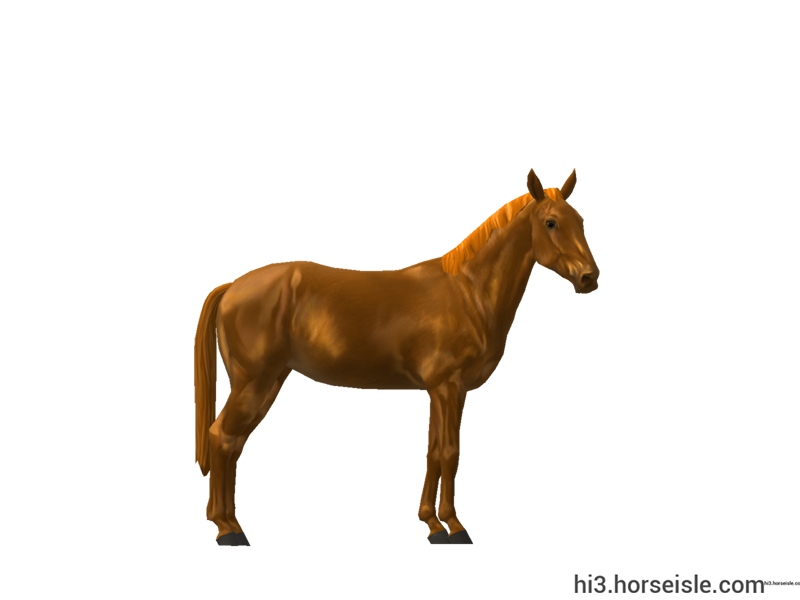 Horse Isle 3: Big Book of Breeds
