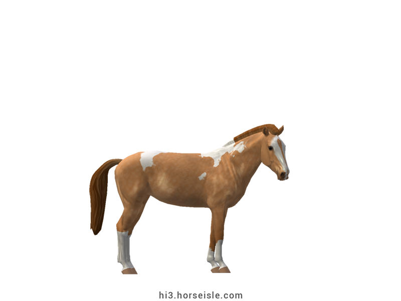 Horse Isle 3: Big Book of Breeds