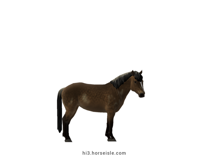 Horse Isle 3: Big Book of Breeds