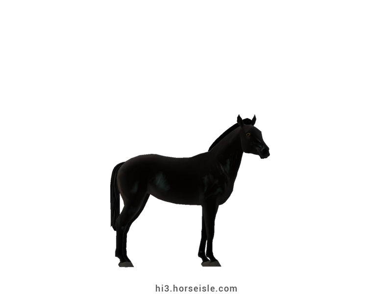 Horse Isle 3: Big Book of Breeds