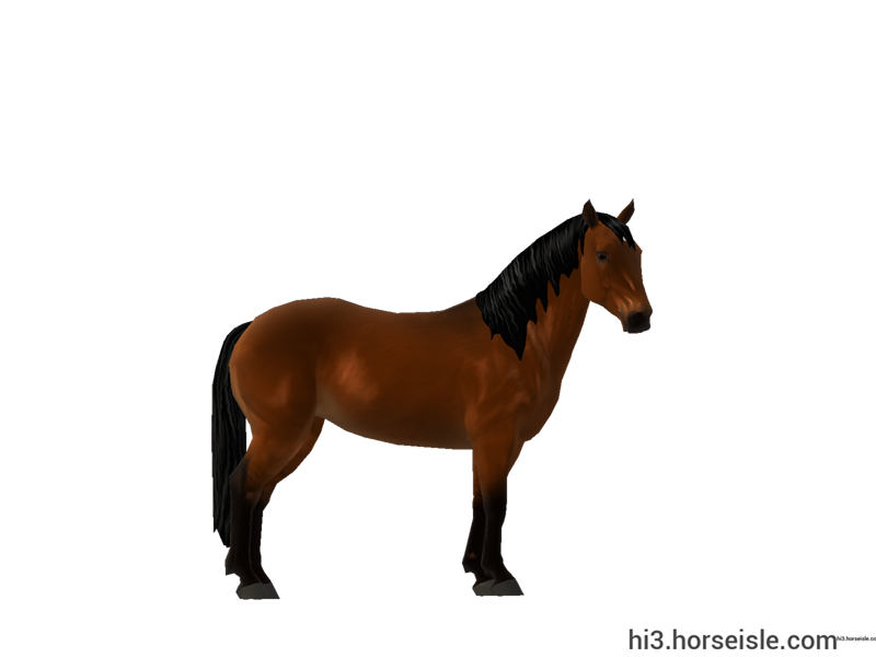 (Large Horse/stallion, Mahogany) - Weaver Double Buckle Leather Halter Mahogany Bay Arabian \u2014