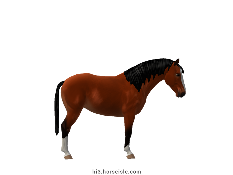 Horse Isle 3: Big Book of Breeds