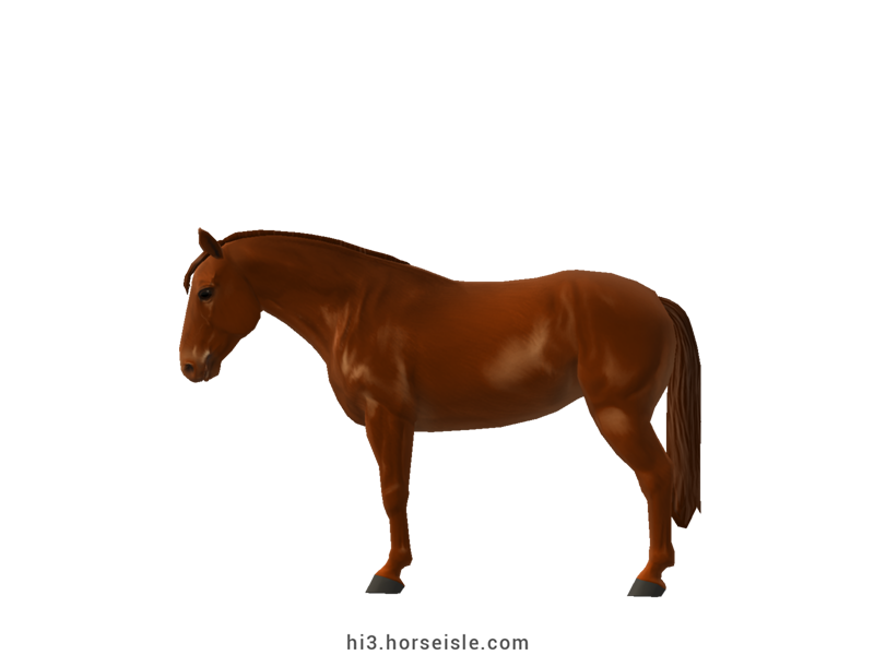 Horse Isle 3: Big Book of Breeds