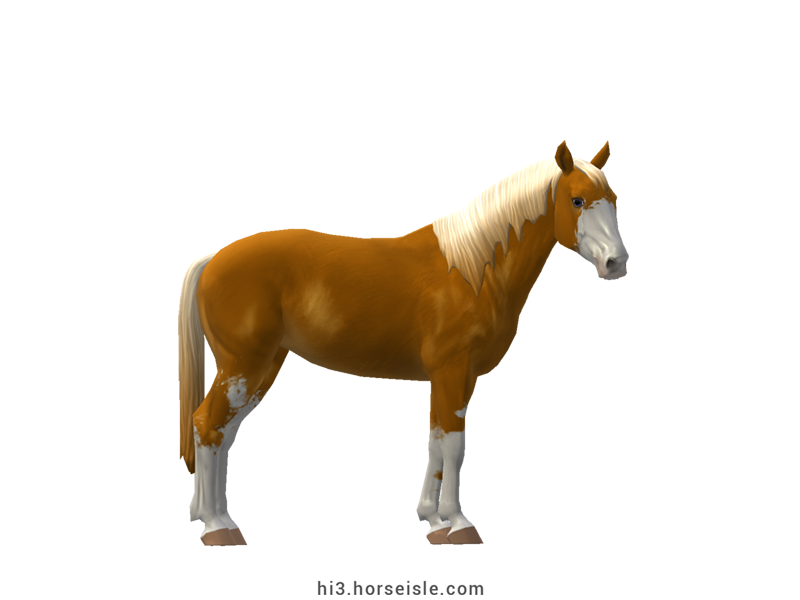 Horse Isle 3: Big Book of Breeds