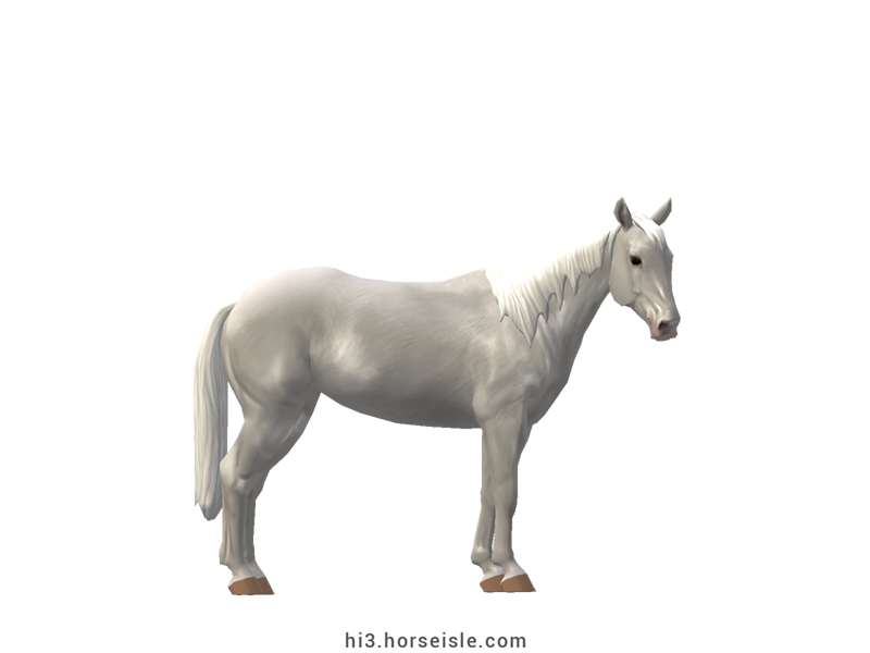 Camarillo White Horse White Coat (normal view)