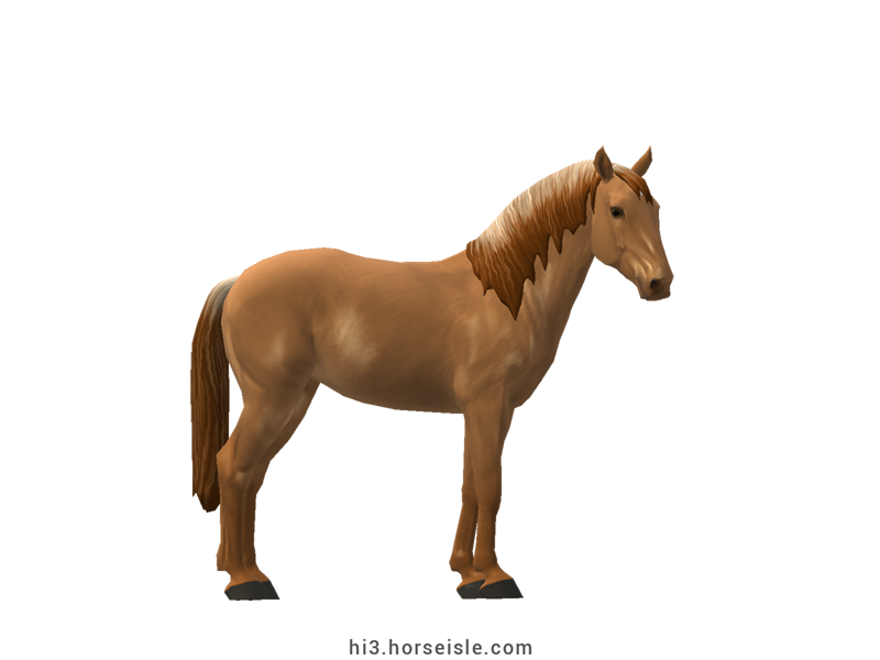 Horse Isle 3: Big Book of Breeds