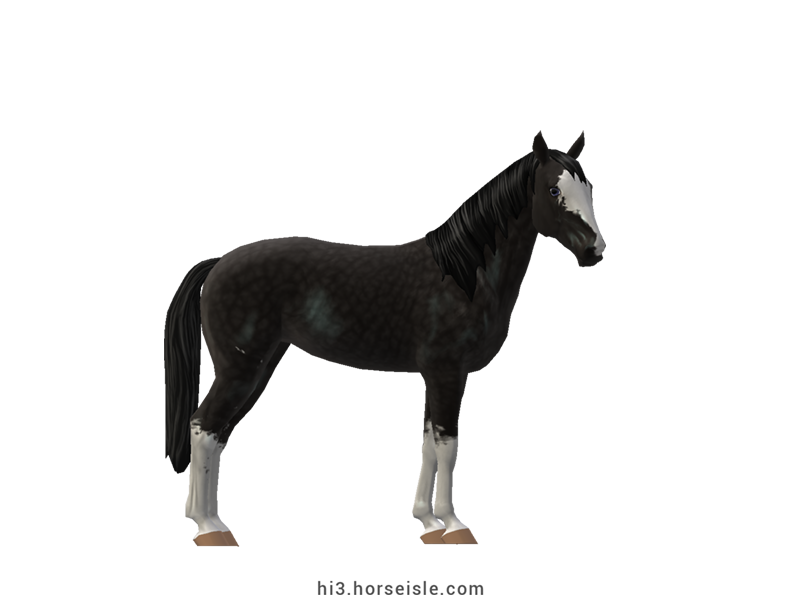 Horse Isle 3: Big Book of Breeds