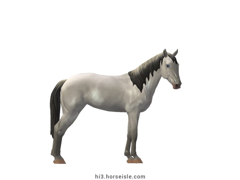 Horse Isle 3: Big Book of Breeds