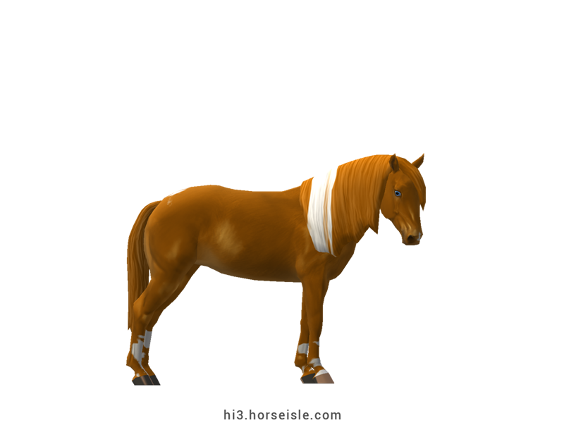 Horse Isle 3: Big Book of Breeds