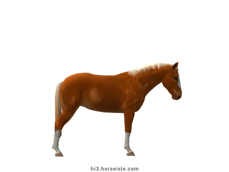 Horse Isle 3: Big Book of Breeds