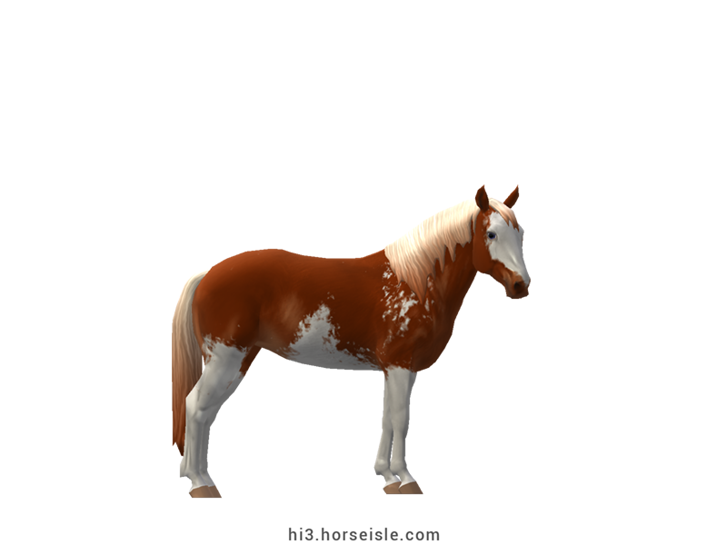 Horse Isle 3: Big Book of Breeds