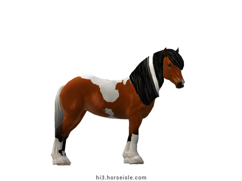 Horse Isle 3: Big Book of Breeds