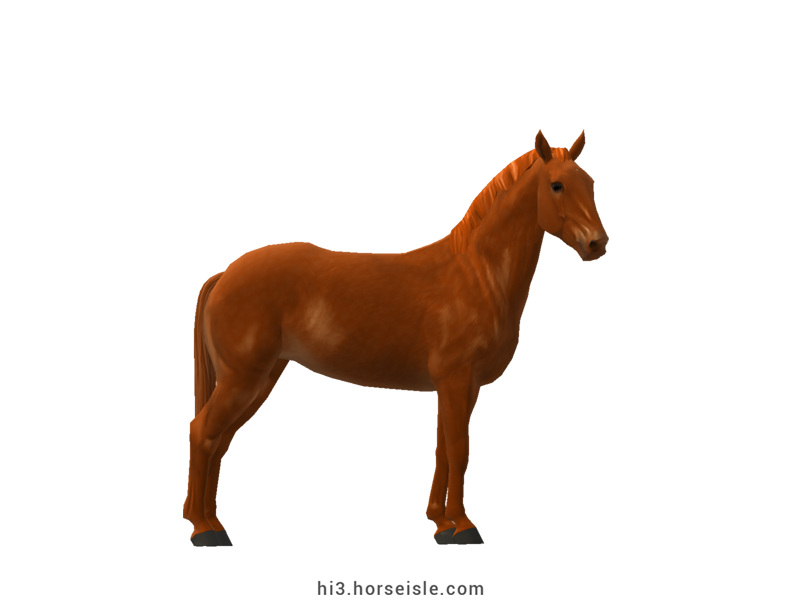 Horse Isle 3: Big Book of Breeds