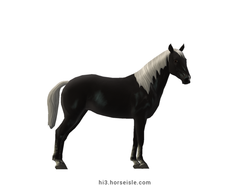 Horse Isle 3: Big Book of Breeds