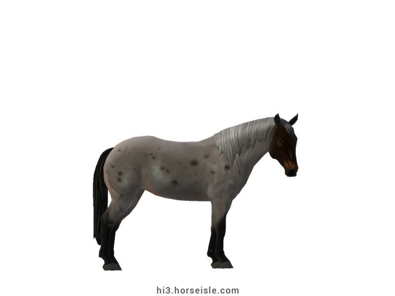 Horse Isle 3: Big Book of Breeds