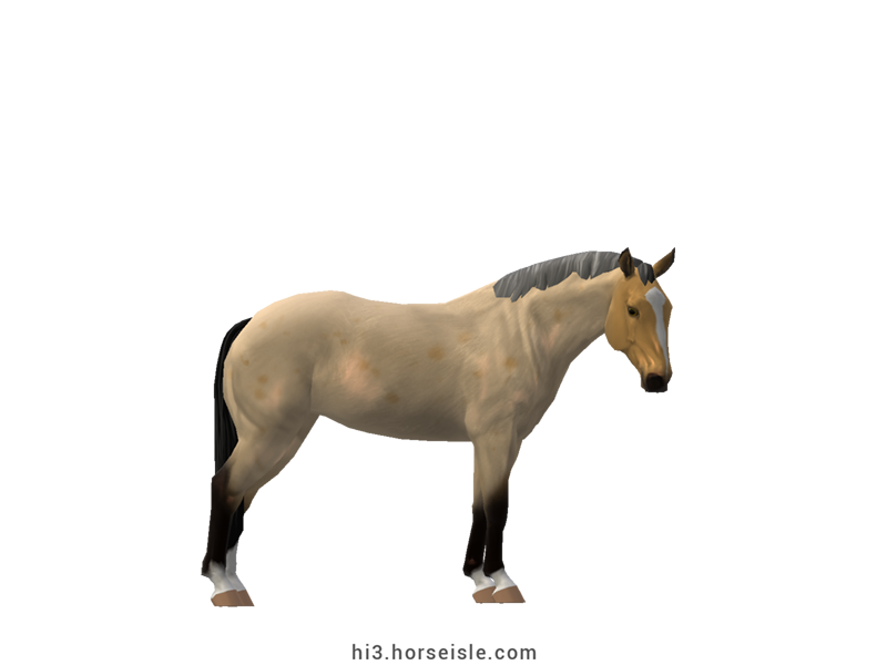 Horse Isle 3: Big Book of Breeds