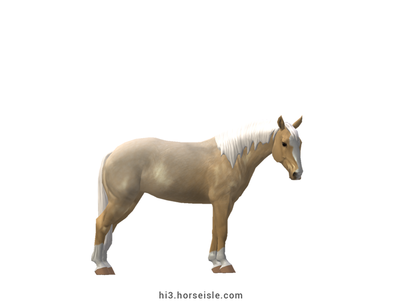 Horse Isle 3: Big Book of Breeds