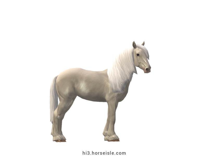 Friesian White Horse - Non-white Division Cremello Coat