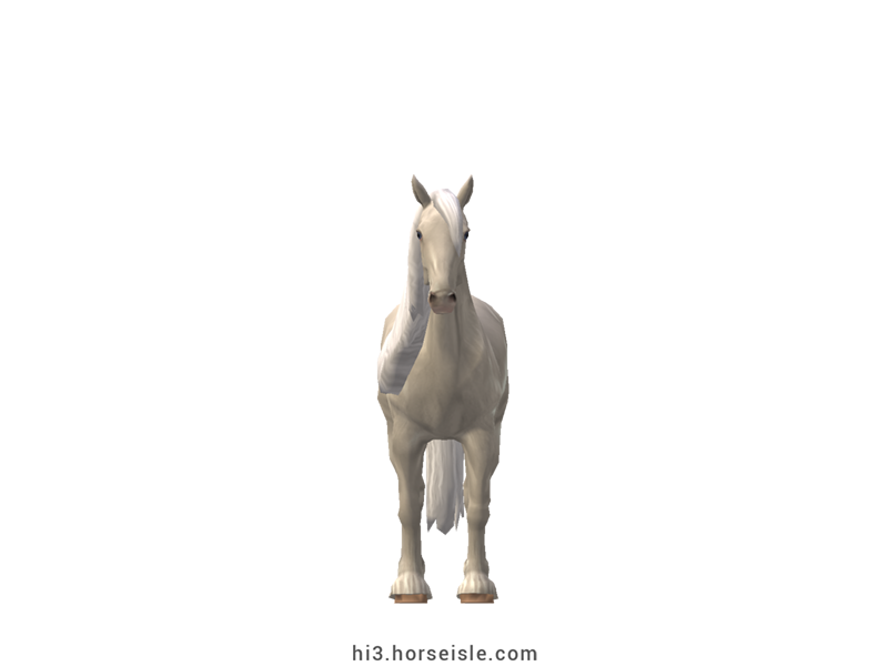 Friesian White Horse - Non-white Division Cremello Coat (front view)