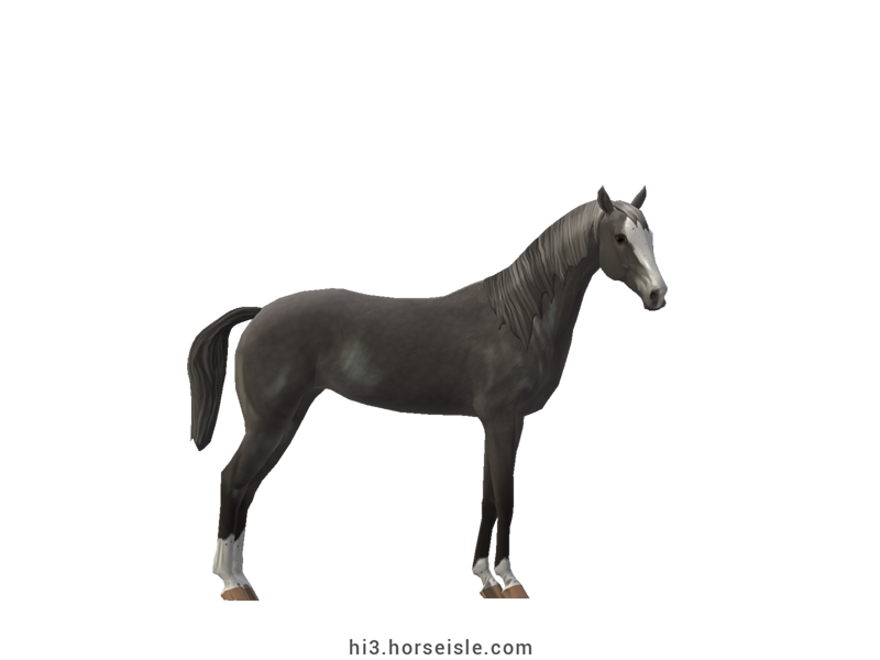 Artistic Sporthorse Grey Coat (normal view)