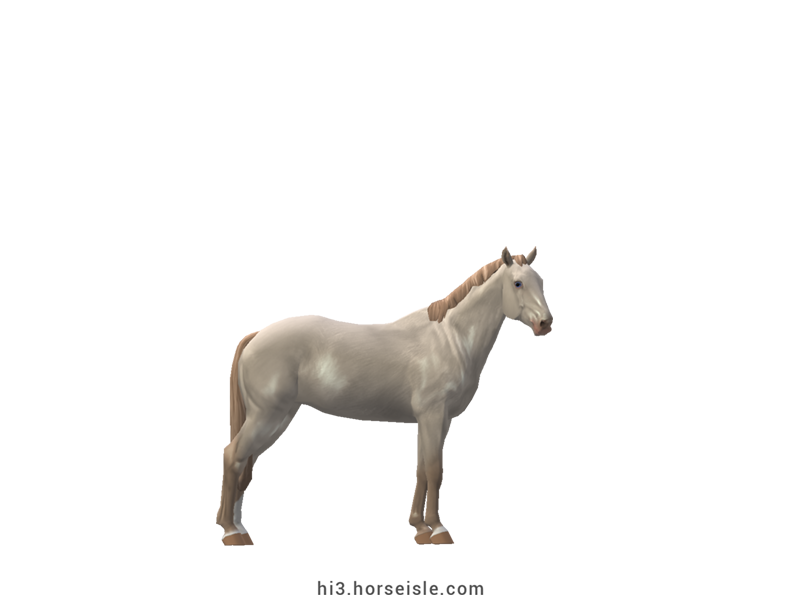 Finnish Sport Pony Perlino Coat