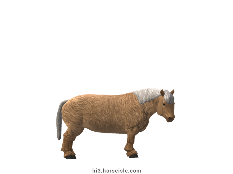Cow-pony Highland Dunalino Coat