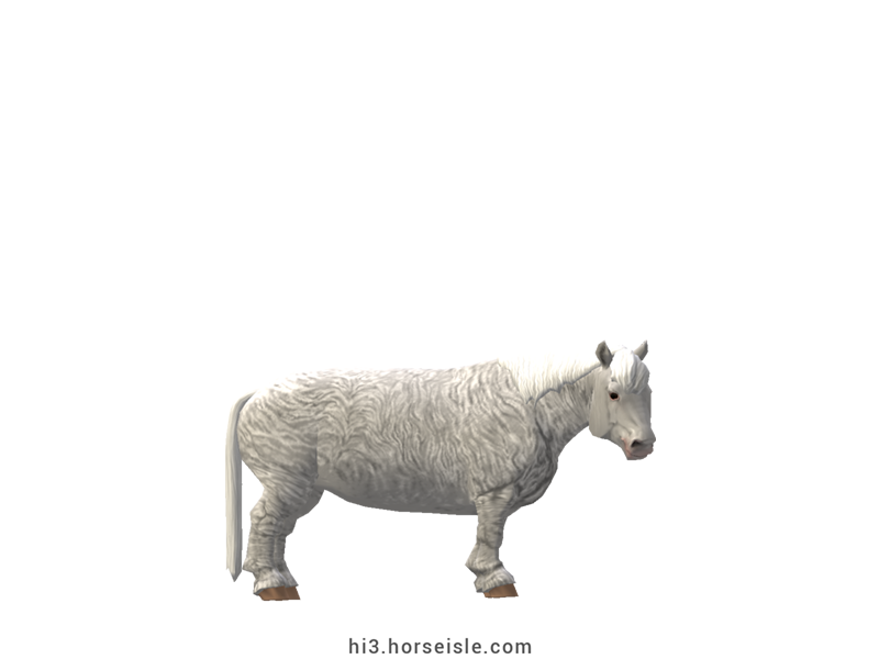 Cow-pony Highland White Coat