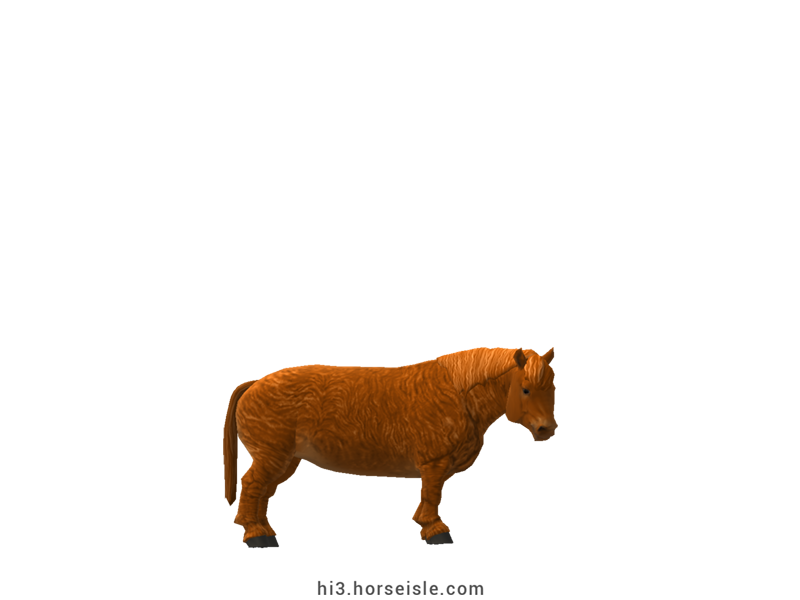 Cow-pony Highland Chestnut Coat
