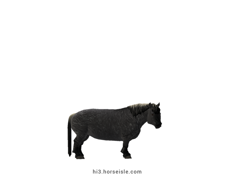 Cow-pony Highland Grulla Coat