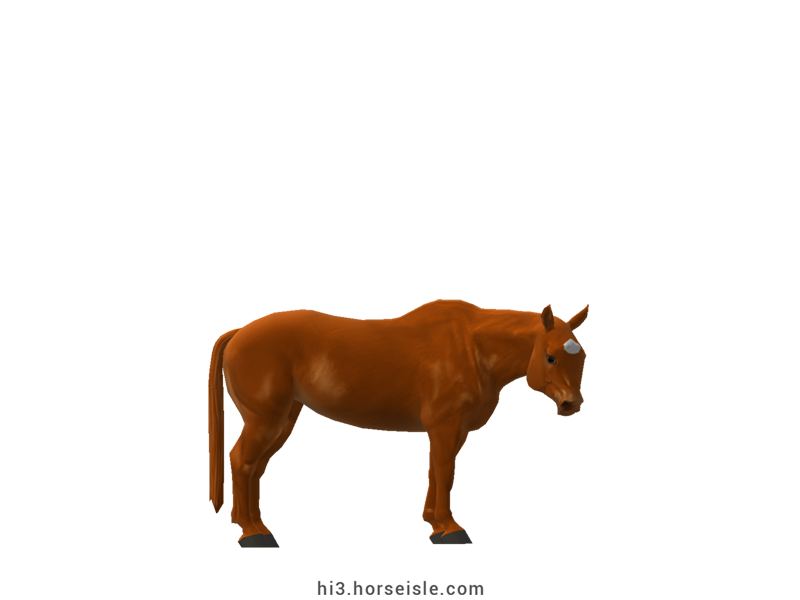Cow-pony Omby Chestnut Coat