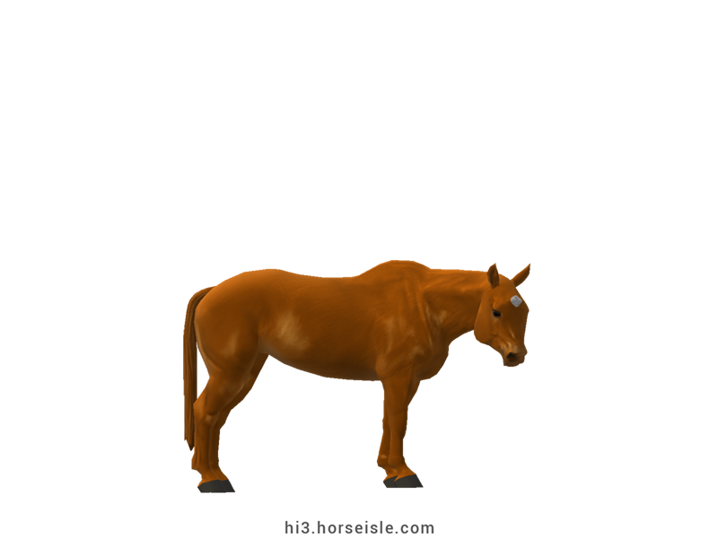 Cow-pony Omby Chestnut Coat