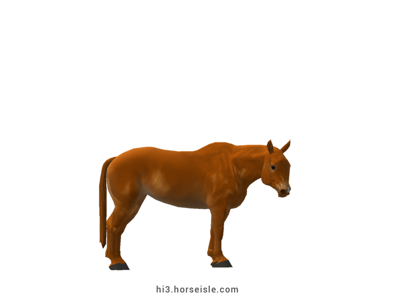 Cow-pony Omby Sorrel Coat