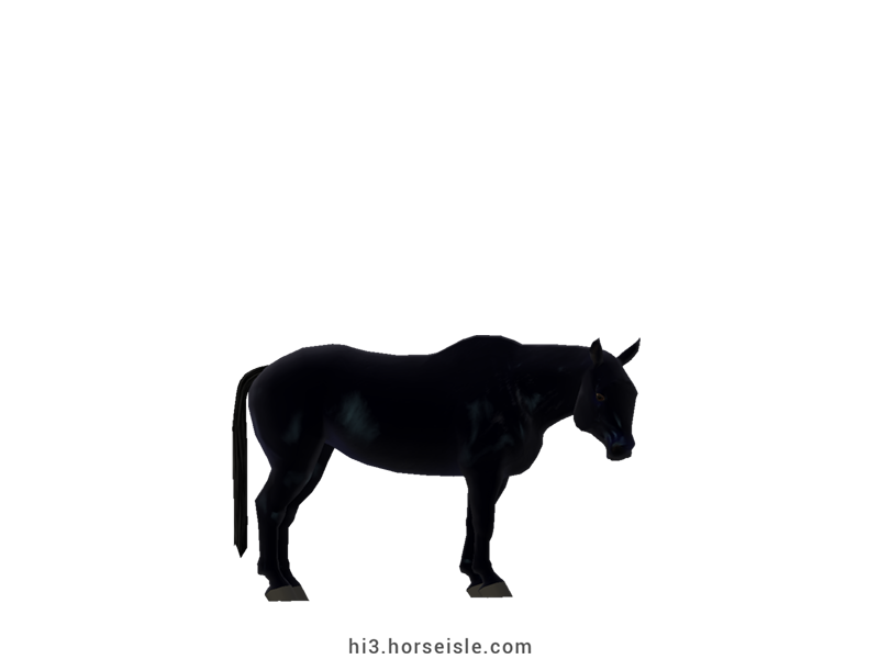 Cow-pony Omby Black Coat